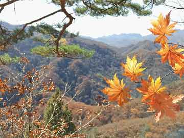 2024年12月12日