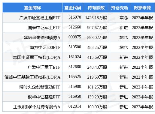 天治核成长净值最新动态，深度解析及前景展望