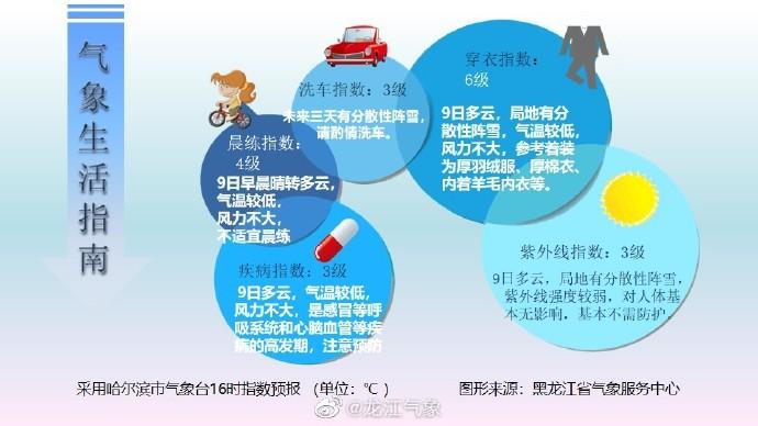 龙江快讯招聘最新信息概览