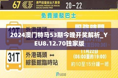 2024年澳门今晚开特马,数据驱动方案实施_钱包版62.558