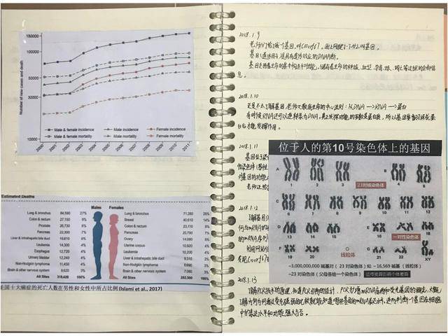 2024年12月1日 第67页