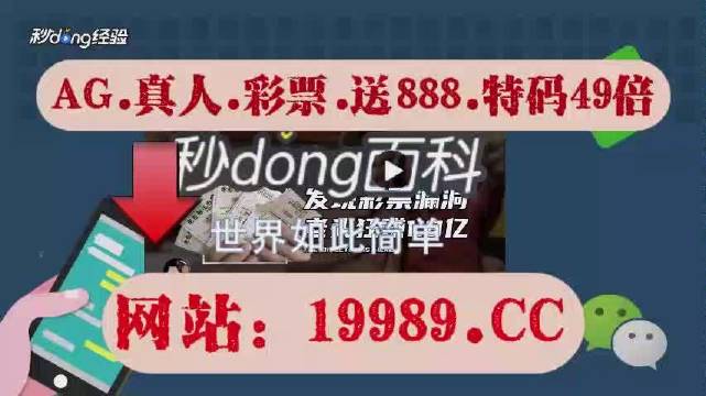 2024年澳门天天开彩正版资料,定性解析说明_soft16.976