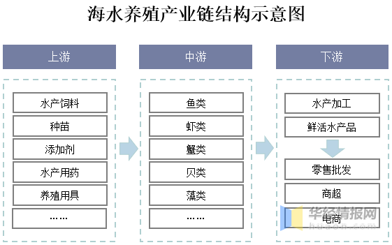 0149775cσm查询,澳彩资料,结构化推进评估_黄金版47.855