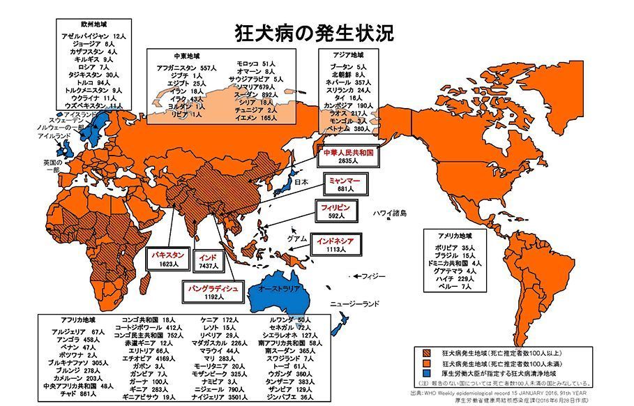 美国狂犬病研究的最新进展综述