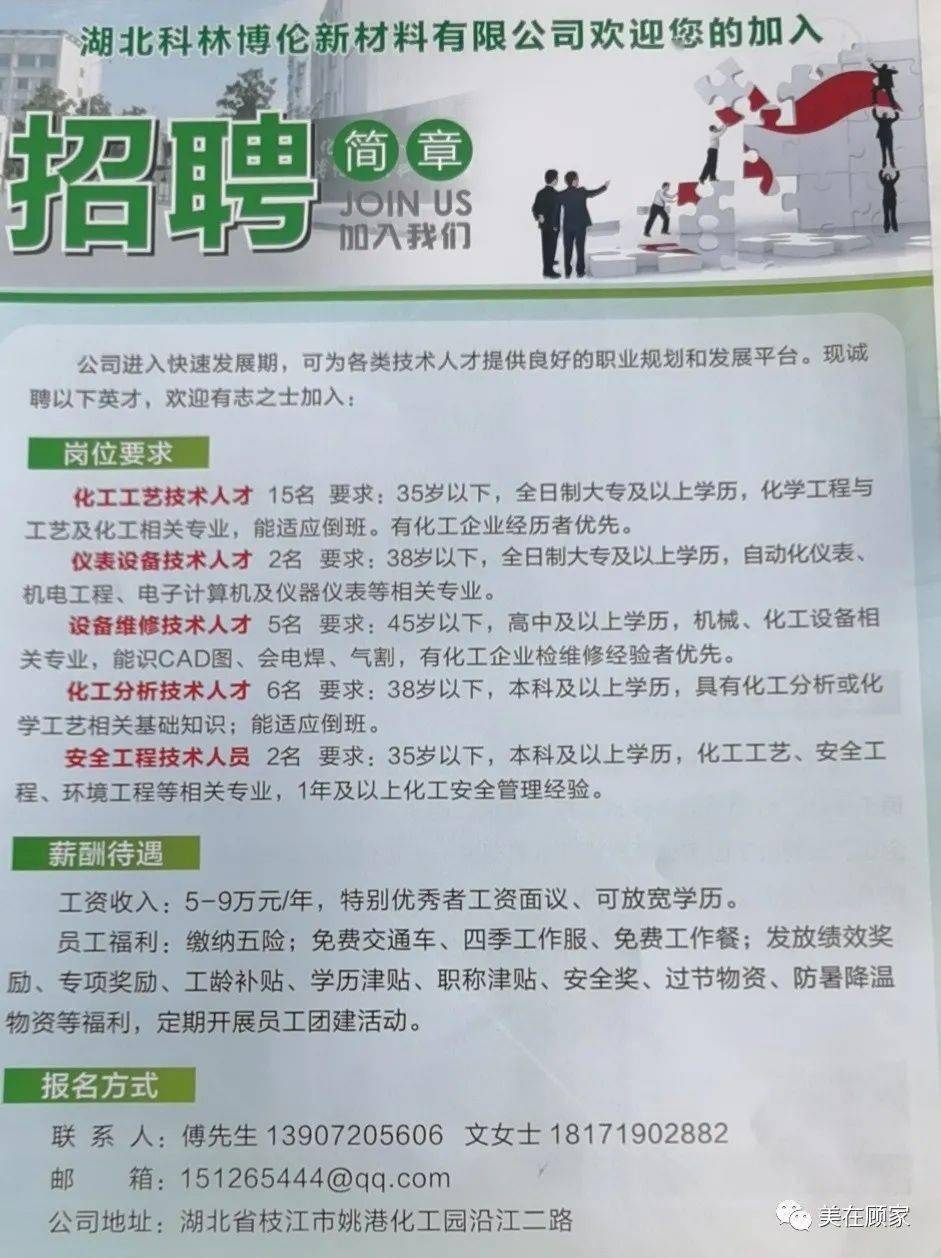 金煤化工招聘启幕，职业发展的新天地