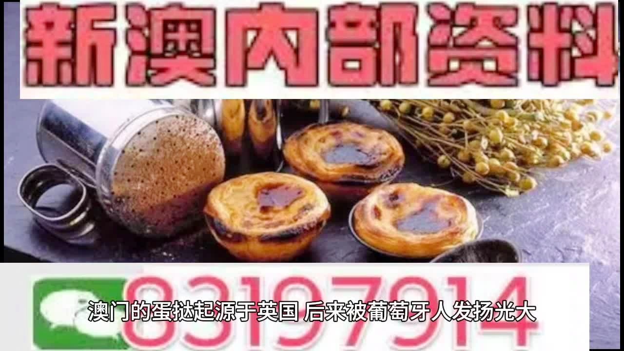 新澳门精准二码中特｜全面数据应用分析