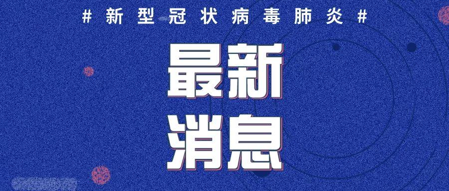 山东地区新冠肺炎最新消息报告更新，最新动态与进展观察