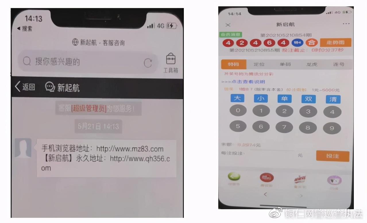 警惕网络赌博陷阱，远离违法犯罪，新未来分分彩最新地址揭秘