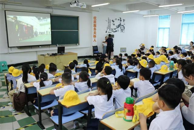 小学生最新动态报道，关注最新消息