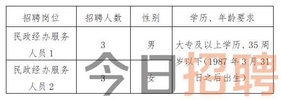 霞浦县财政局最新招聘信息全面解析