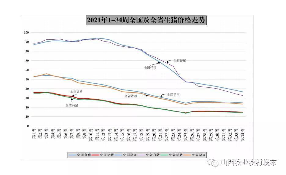 山西省生猪最新价格行情分析与趋势预测